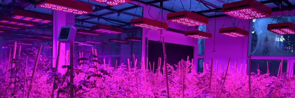 BouhlalOutmane Profile Banner