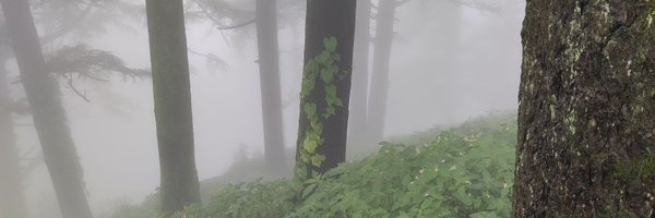 scharada_d Profile Banner