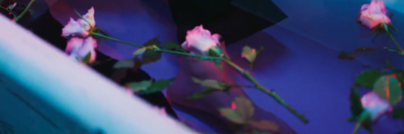 레나🍯 banner