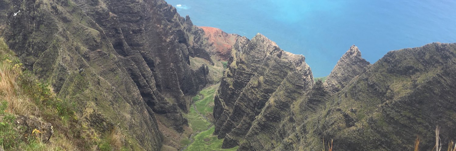 Brian Watson 🏄🏻‍♂️🥑💻🌱 banner