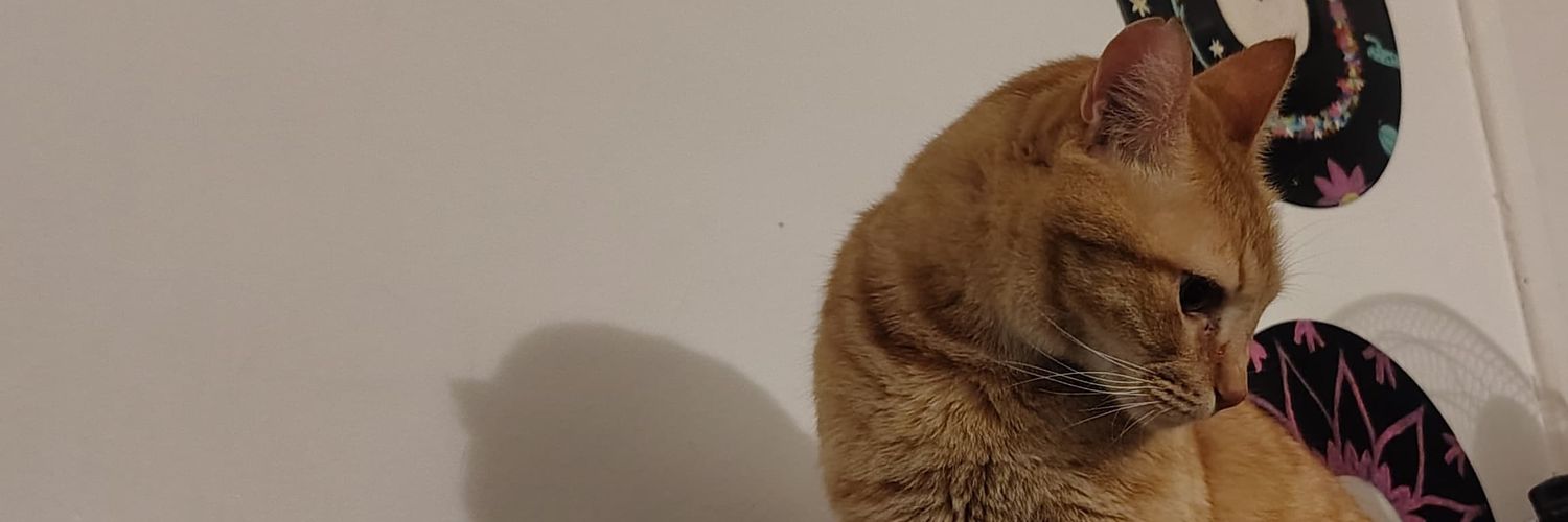 aylend_m's profile banner image