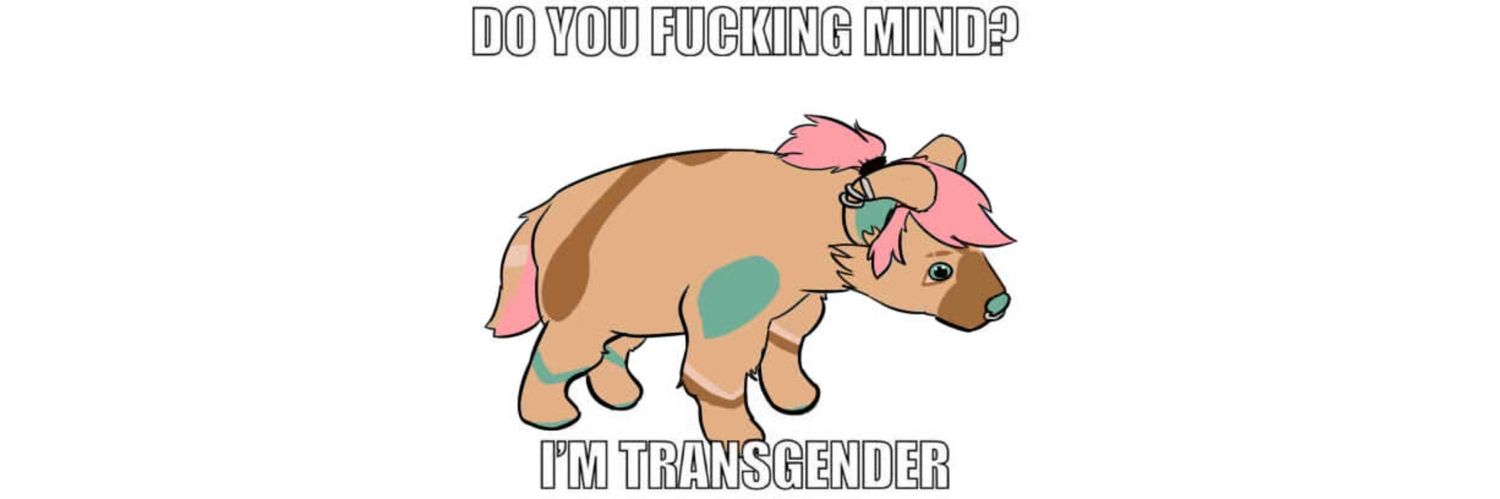 🏳️‍⚧️Dork 🔞 banner