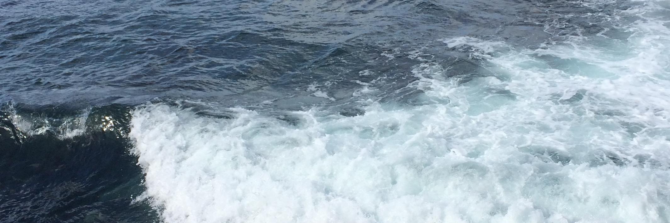 Lynette C Kennedy-Quirk banner