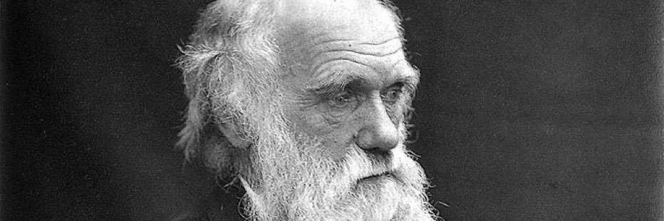 stocksonly➡️🆙 banner