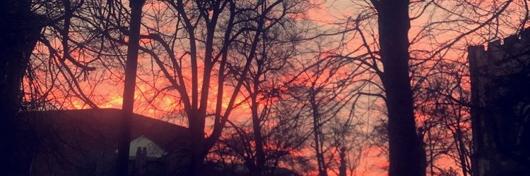 abuexddd's profile banner image