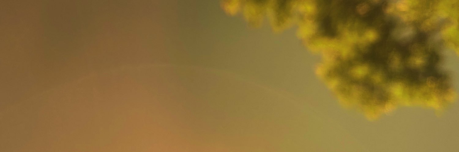 dlarashin's profile banner image