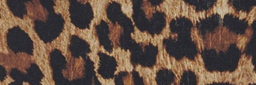 Kaaayyyleee's profile banner image