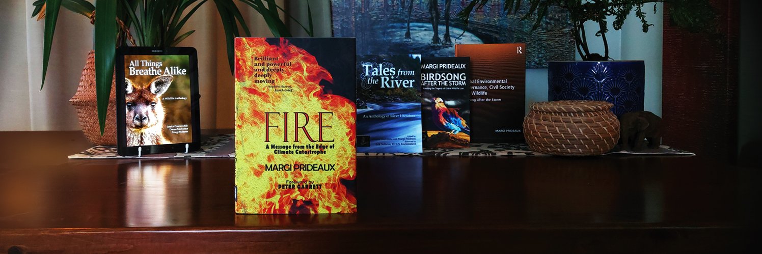 Margi Prideaux banner