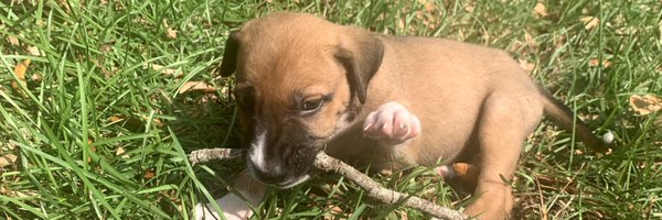 AriesCryptProd Profile Banner