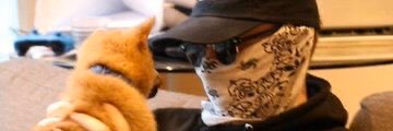 RogerTIshawt's profile banner image