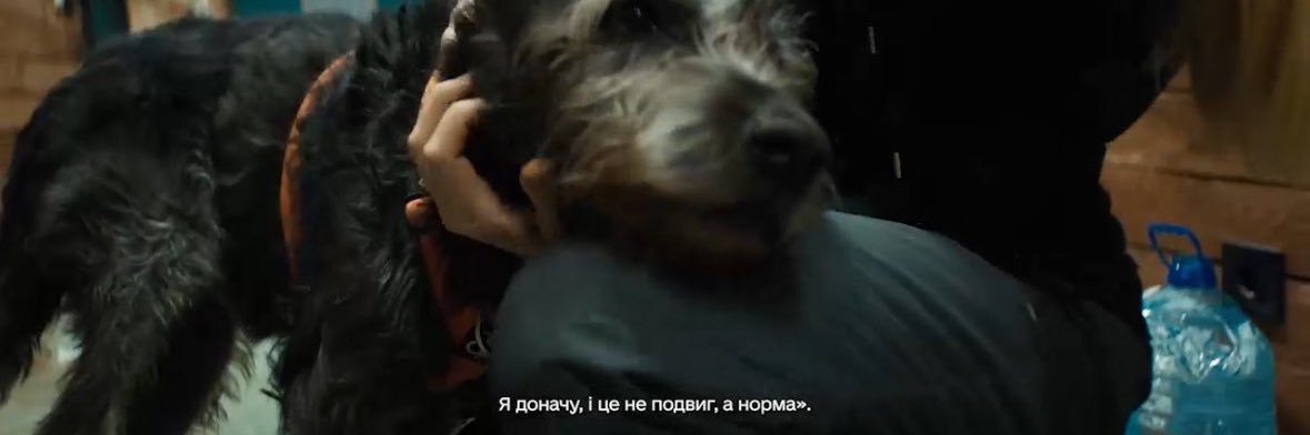 Пані Надійка's banner