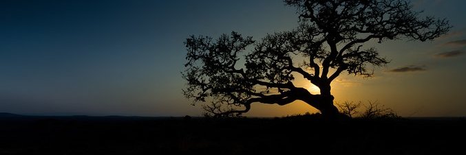 matiyude's profile banner image