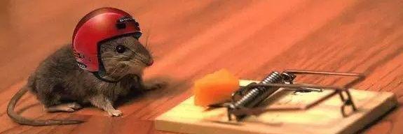 sergioparty99's profile banner image
