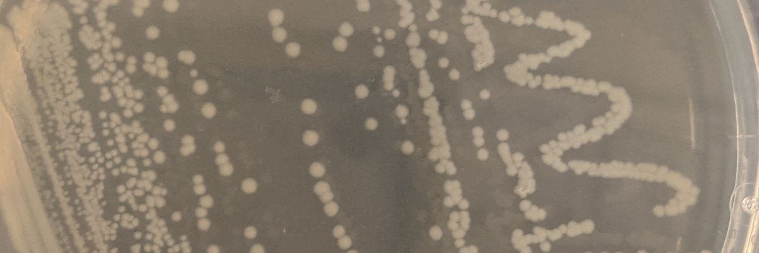 Amanda C. Smith (Shurzinske), PhD banner