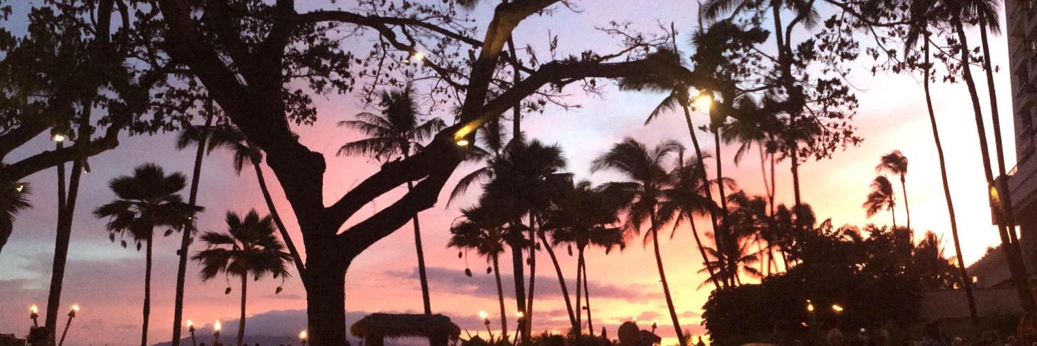 allythom10's profile banner image