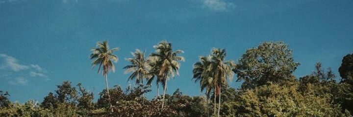 nadamaulia's profile banner image