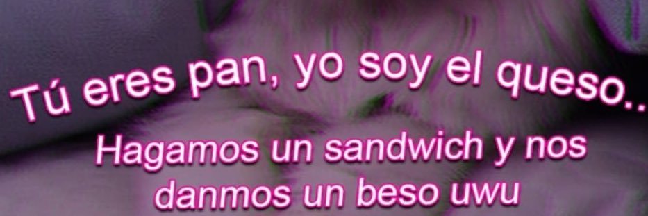 MichJaquezP's profile banner image