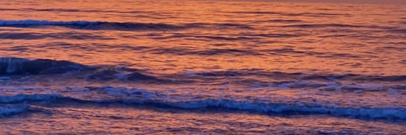 whatelisaid's profile banner image