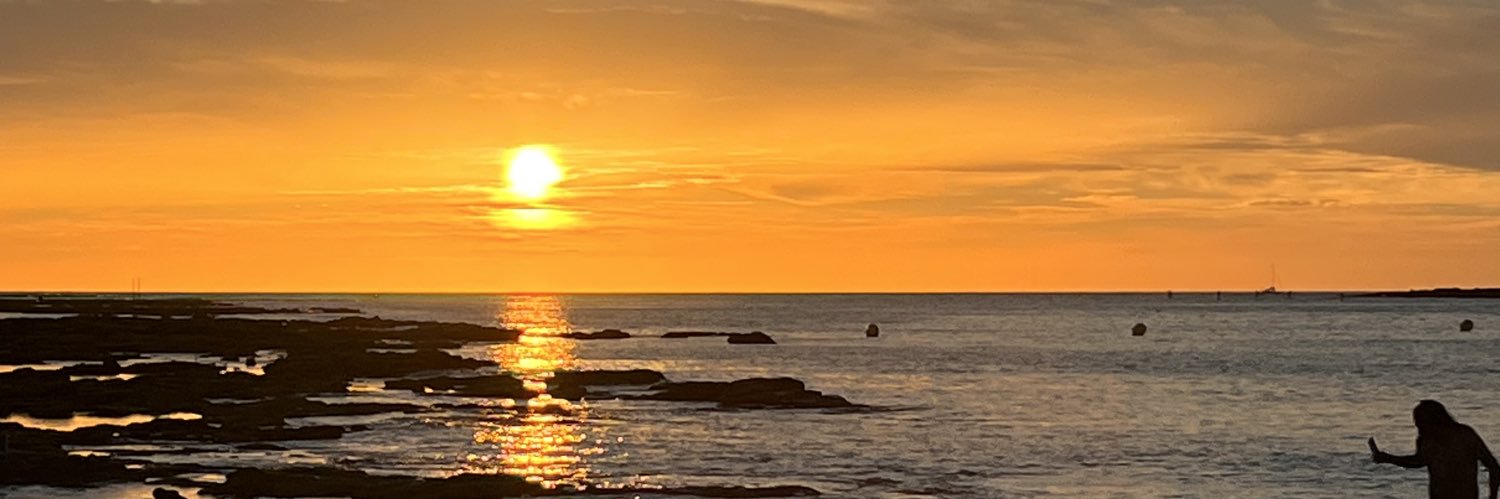 Rocío banner