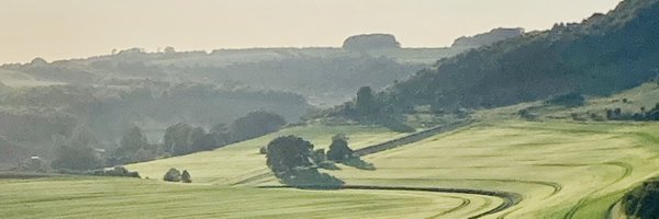 joeflatman Profile Banner