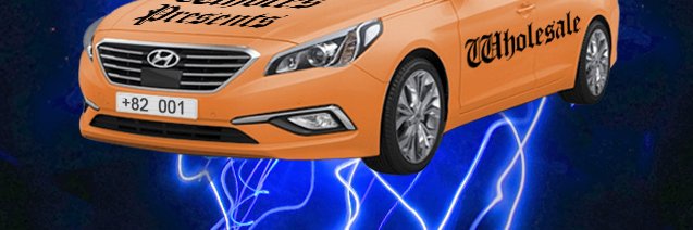 wholesis's profile banner image