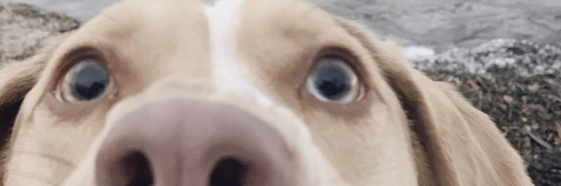 Gretarc16's profile banner image