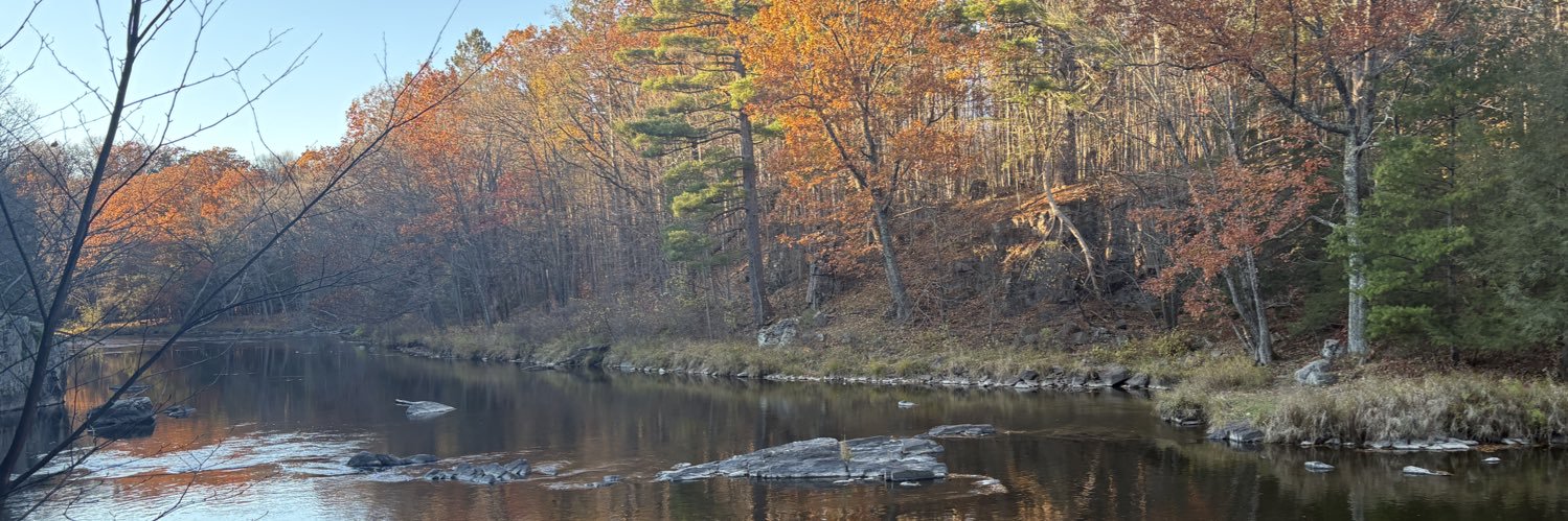 NSerling is surviving the rise of authoritarianism banner