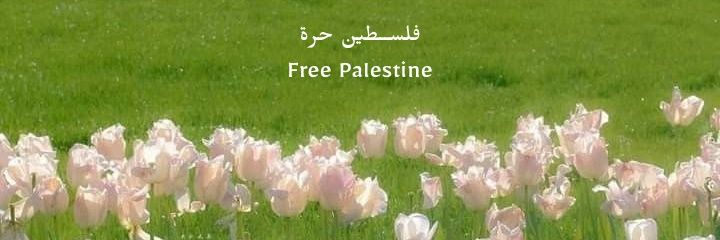 𓂆 𝓁𝓊𝓁𝓊 🧸 banner