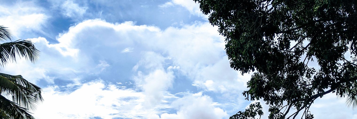 fi__adam's profile banner image