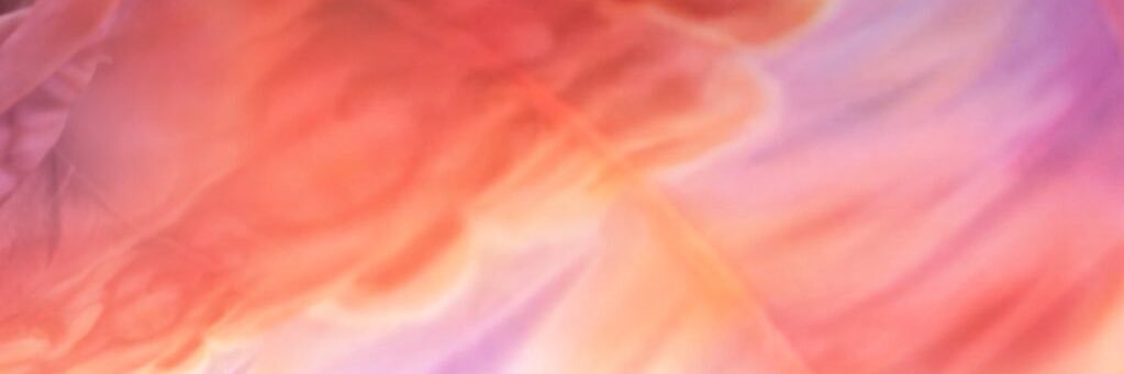 rachel ⸆⸉ banner