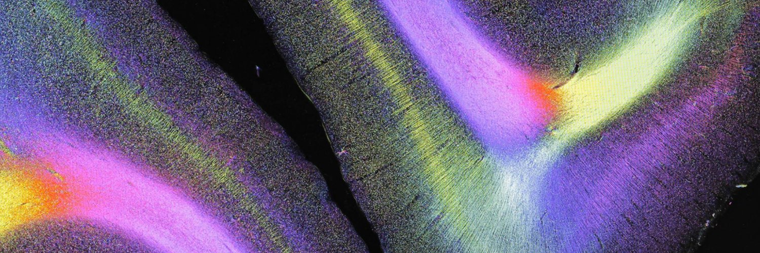 Human Brain Project banner