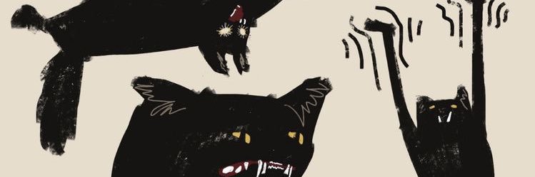 aaireland's profile banner image