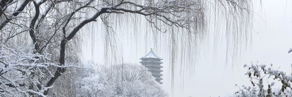 RuoyanLi Profile Banner