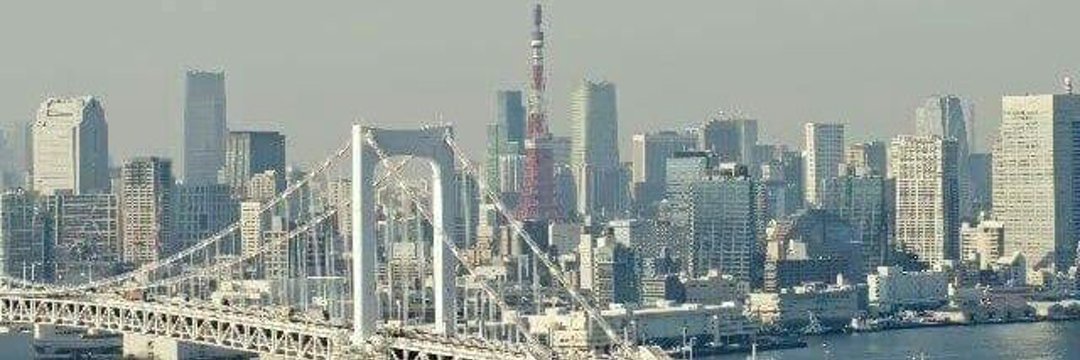 nipponisland2's profile banner image