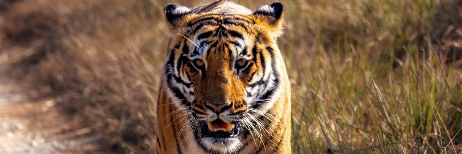 corbett_park's profile banner image