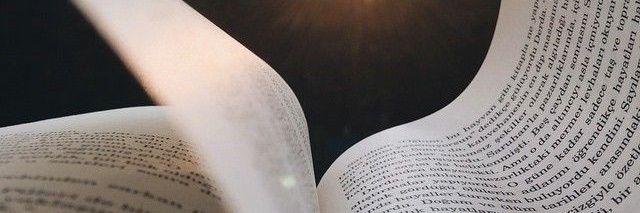 ᴹᵃˣ banner