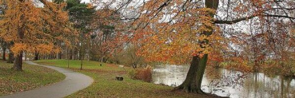 Cheltparkrun Profile Banner