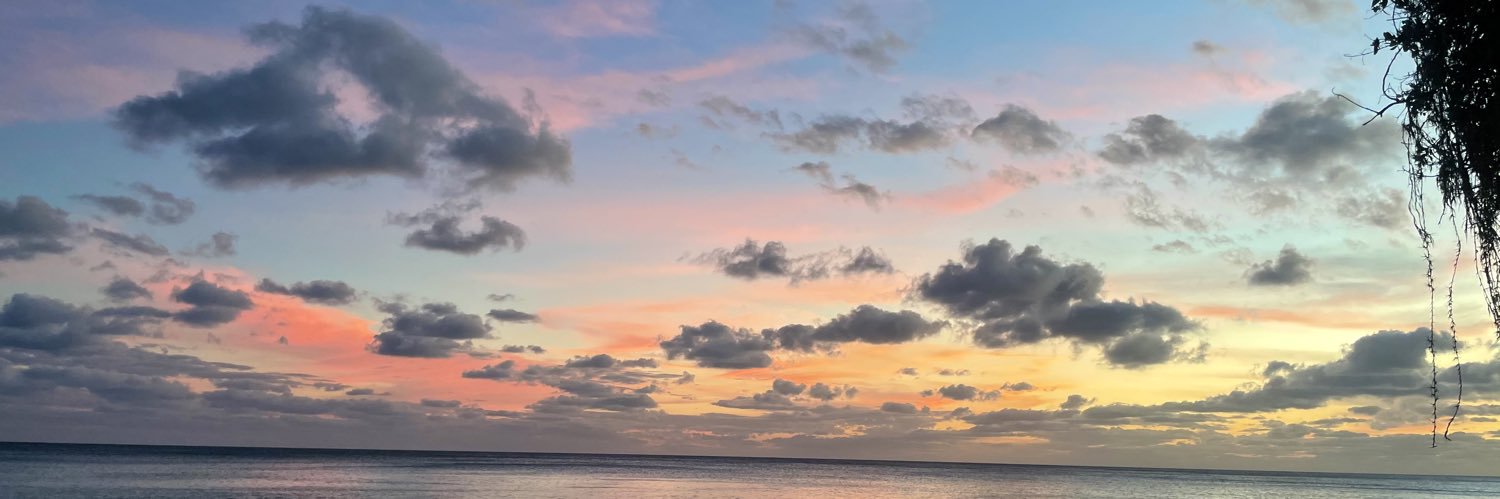 SeveryTaylor's profile banner image
