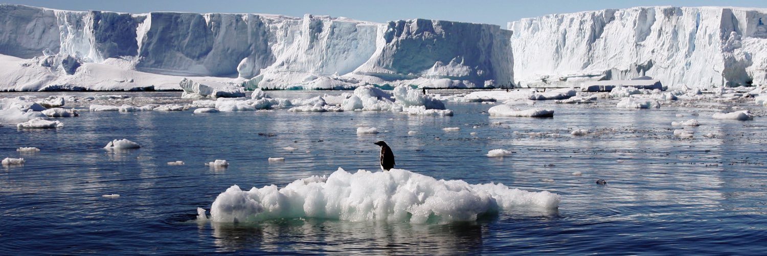 µµµµµµ/////+-++ 🇪🇬 (taymour) banner