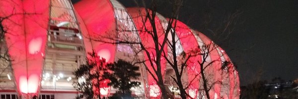 RoboVargas Profile Banner
