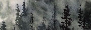 Aceinspace900's profile banner image