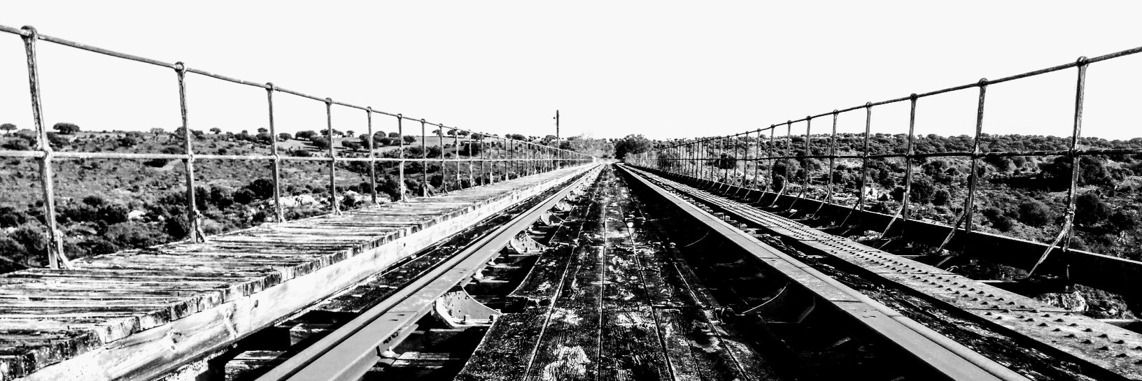 A. Martín del Pozo banner