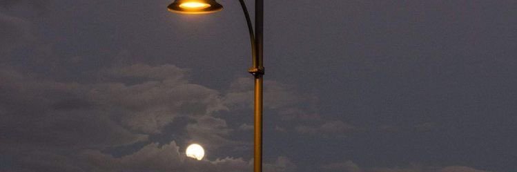 𝐃𝐑𝐀𝐅𝐓 banner