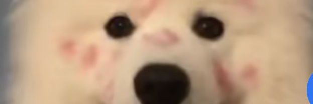 ᴍʏ banner