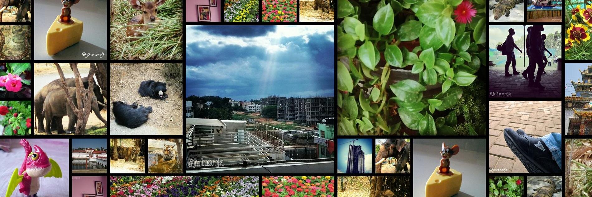 JaimonJK's profile banner image