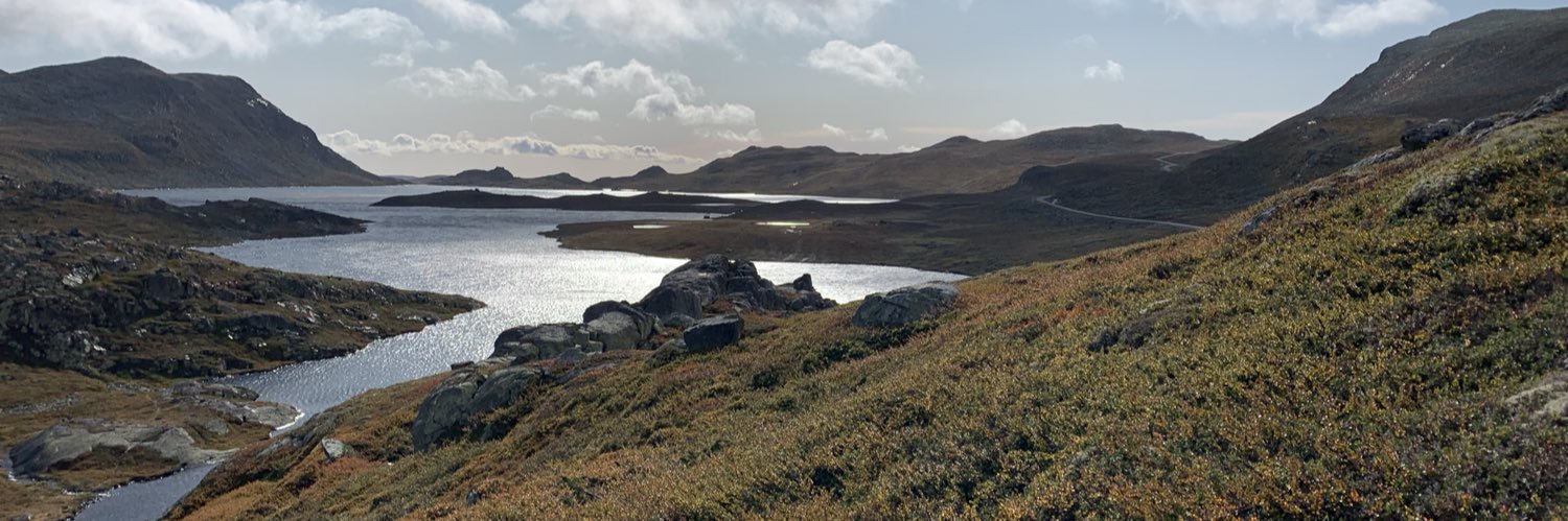 Ingvil Gaasland banner