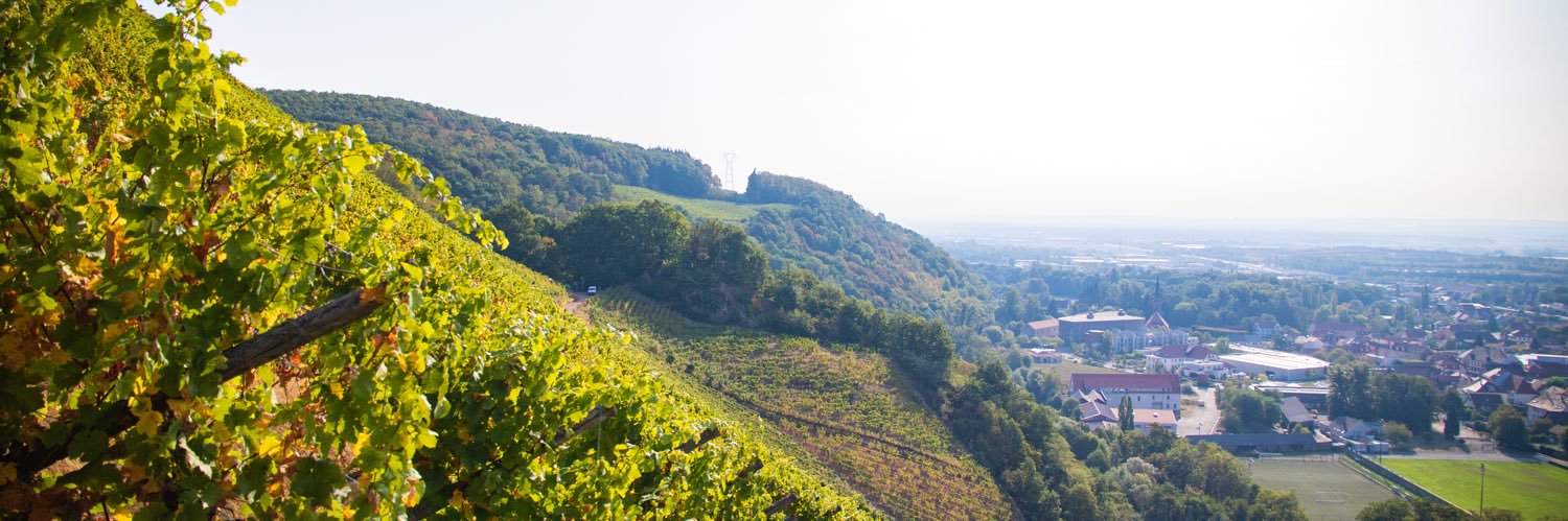 Raphaël Schellenberger banner