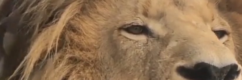 RRage85's profile banner image