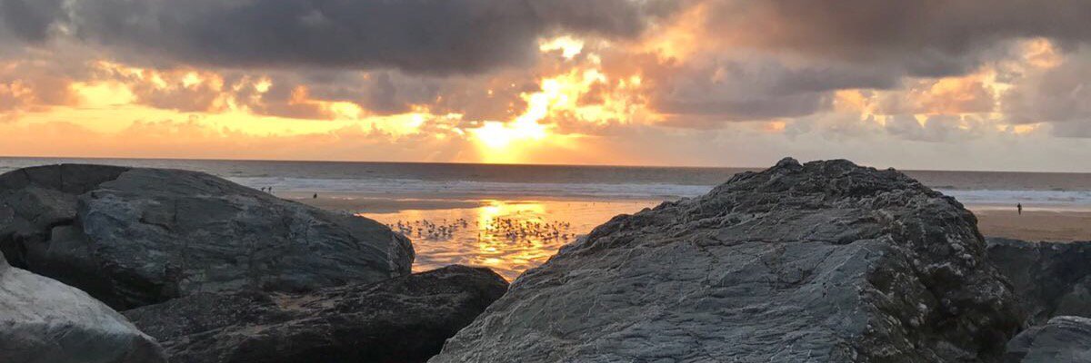 littlepro74's profile banner image