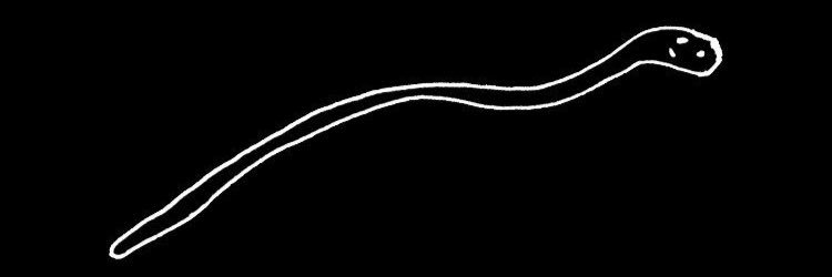 Stephen Harbeck banner